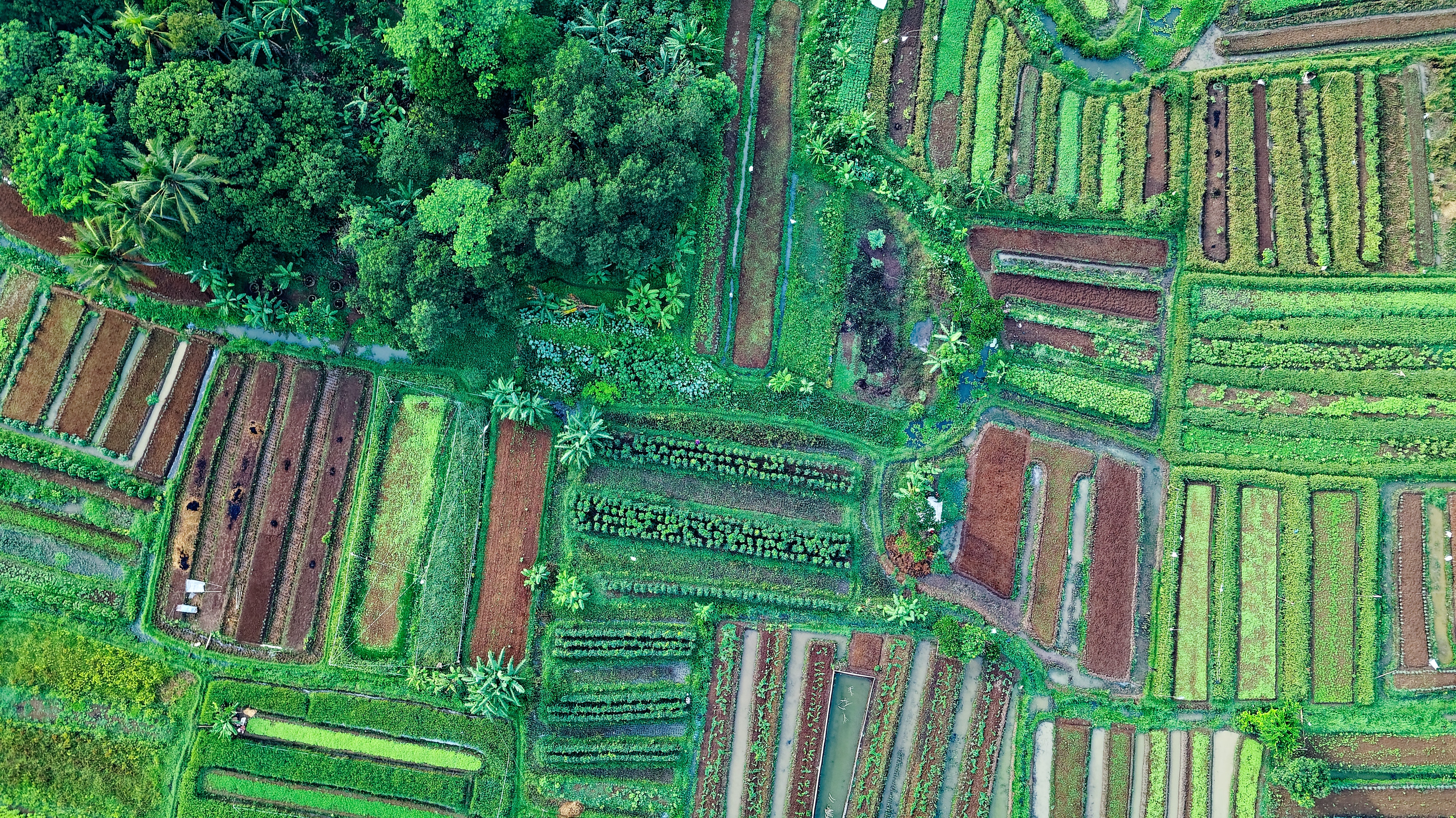 Land Management System